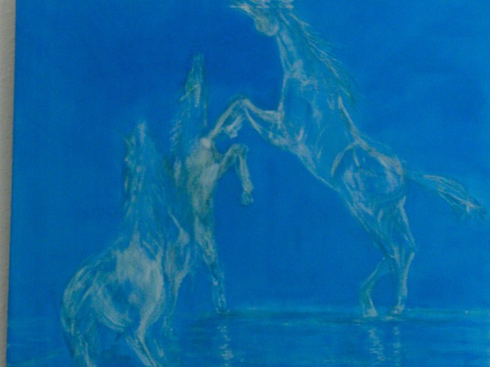 ../gallerij/gal/Acryl/ACR09.jpg
