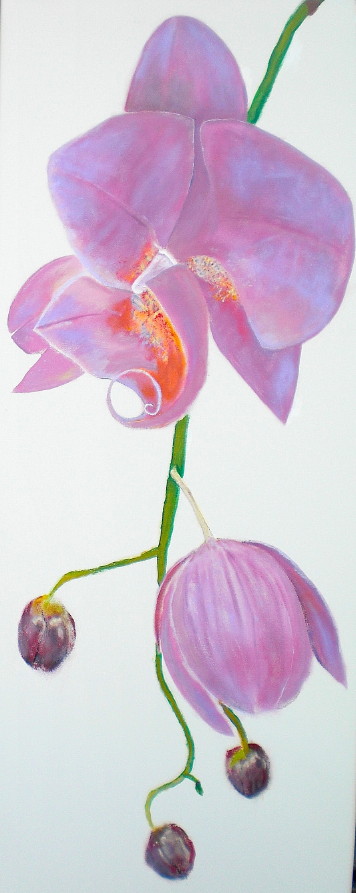 ../gallerij/gal/Acryl/ACR51.jpg