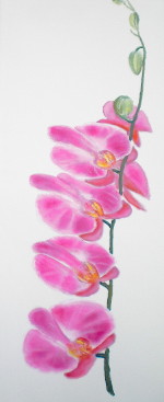 ../gallerij/gal/Acryl/_thb_ACR50.jpg