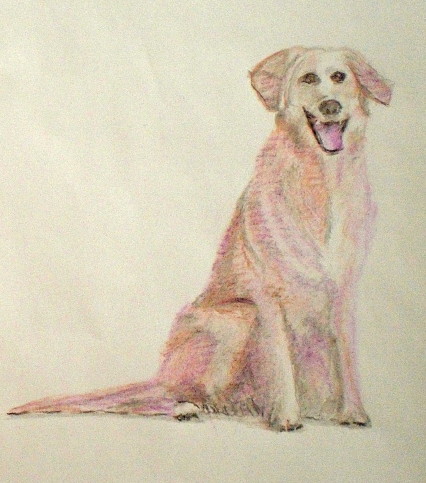 ../gallerij/gal/Aquarel/AQU31.jpg