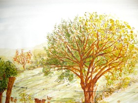../gallerij/gal/Aquarel/_thb_AQU02.jpg