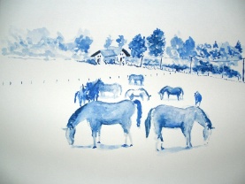 ../gallerij/gal/Aquarel/_thb_AQU14.jpg