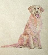 ../gallerij/gal/Aquarel/_thb_AQU31.jpg